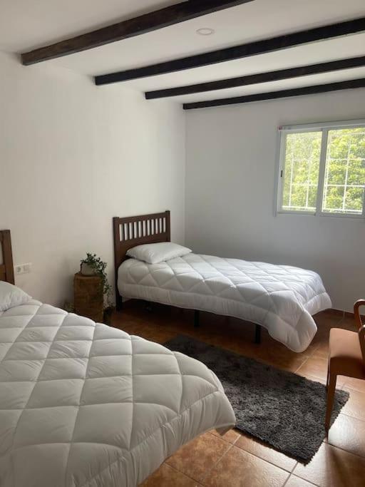 Luz De Vida Anaga Villa Santa Cruz de Tenerife Dış mekan fotoğraf