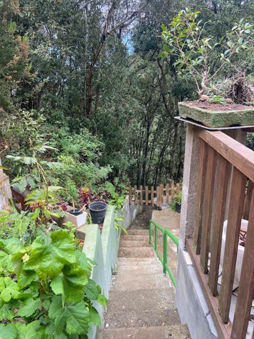 Luz De Vida Anaga Villa Santa Cruz de Tenerife Dış mekan fotoğraf